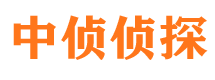 互助侦探公司